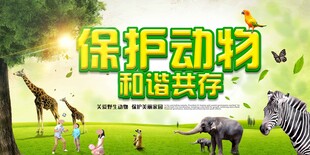 保护野生动物