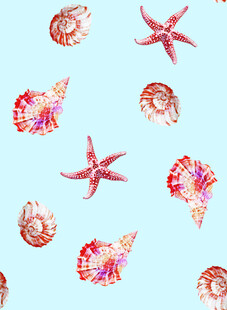 海洋生物
