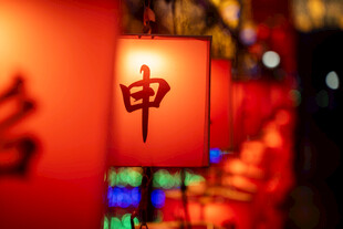 灯笼百家姓