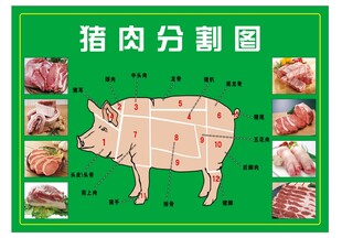猪肉分割