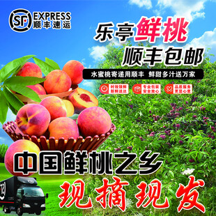 鲜桃