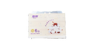 丽邦柔韧亲肤软抽360张6连包