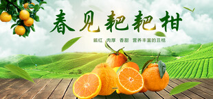 耙耙柑