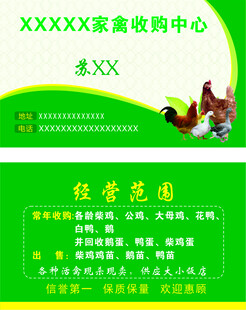 家禽收购