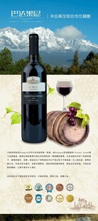 巴达果尼红酒展架