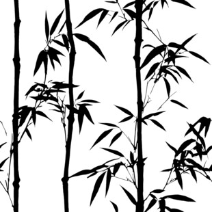 数码印花