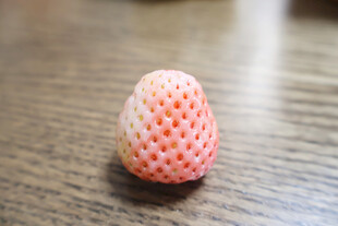 白草莓
