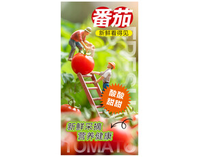 番茄
