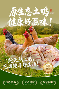 农家土鸡