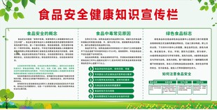 食品安全宣传栏