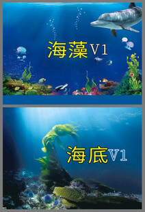 海藻 海底