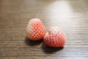 白草莓