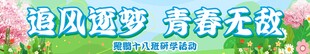 春天横幅