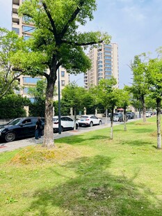 户外露营
