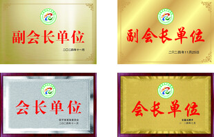 副会长单位标识铜牌