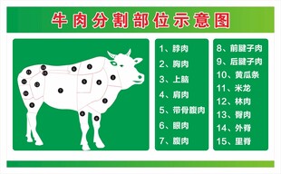 牛肉分割部分