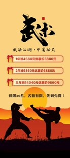 武术战绩