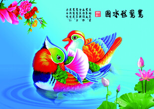 鸳鸯戏水图