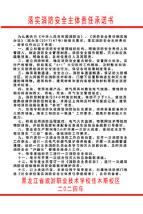 落实消防安全主体责任承诺书