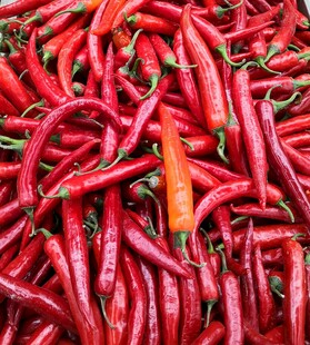 辣椒
