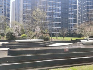 小区水景