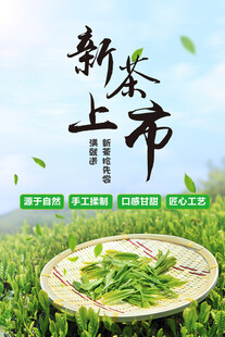 茶叶海报