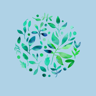 绿植绿叶植物 