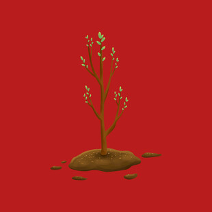 绿植植物树木
