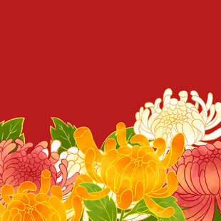 手绘菊花