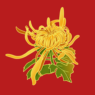 手绘菊花 