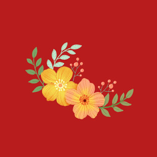 小雏菊菊花
