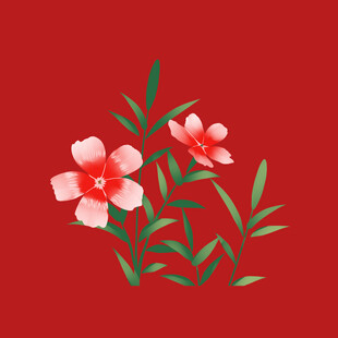 小雏菊菊花