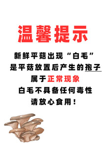 温馨提示平菇白毛