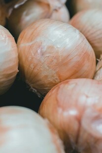 洋葱