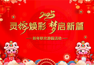 新年活动背景