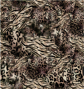 豹纹