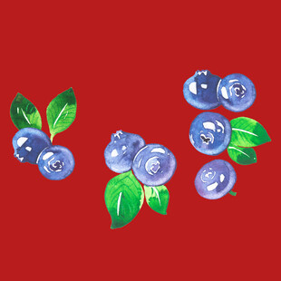 水果蓝莓 