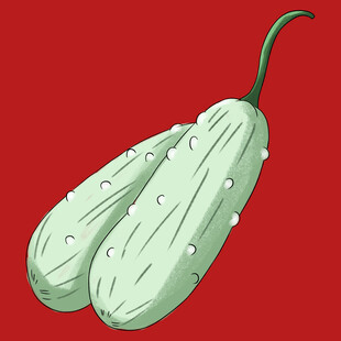 苦瓜 