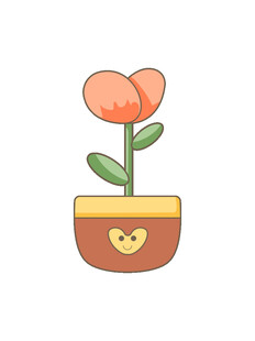 郁金香花朵盆栽