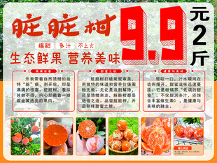 石灰柑 脏脏柑