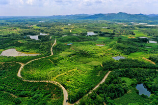 美丽乡村