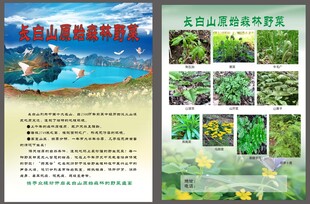 长白山单页