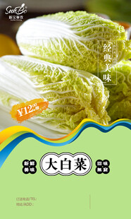 大白菜