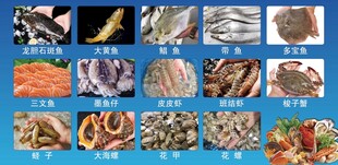 海鲜带单展示