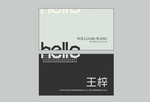 商务简约时尚名片