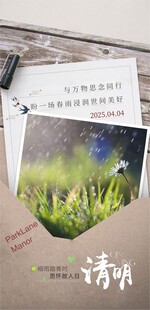 清明 微信单图 节气