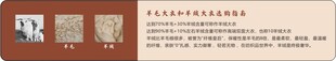 羊毛大衣说明