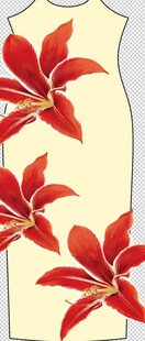 百合花 定位花