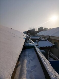 雪景
