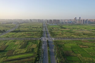 城市楼群